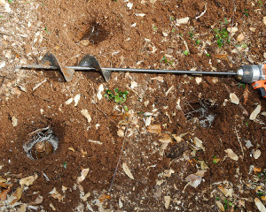 An auger...bulb planting, simplified