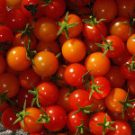 Assorted Sun Gold and Super Sweet 100 Tomatoes