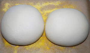 Two boules just before the loaves are scored, and baked