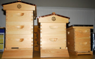 Bee-ing Prepared: Hive Assembly