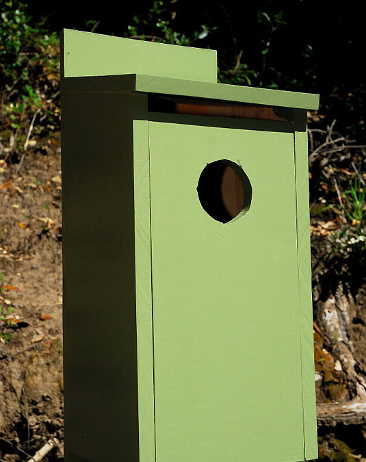 Building Owl Boxes