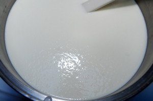Here the milk is just starting to coagulate