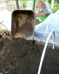 A few more wheelbarrows-full and the beds were ready for planting