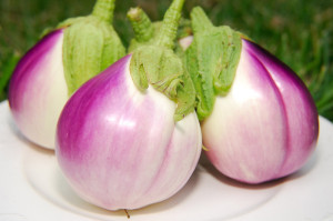 One of our favorite eggplants from last season,  'Rosa Bianca', will be planted again this year