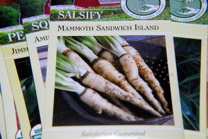 Salsify, also known as 'oyster plant', has a mild, earthy flavor