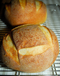 These sourdough boules were made using whey, instead of water, when mixing the dough