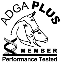 ADGA Plus Member - 2015