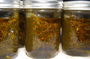 One of the base oils, olive oil, infusing with dried lavender