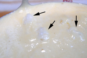 You want to see some of the whipped egg white floating the batter (black arrows), so don't over mix!