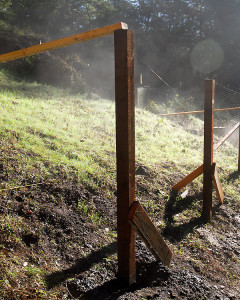The first fence posts