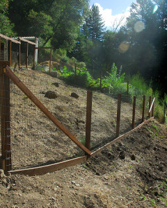 It's much easier to jump a fence from uphill, so we had to make this section of fence taller