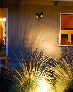 I love the shadows cast by Muhlenbergia rigens at night