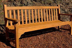 Our new teak bench