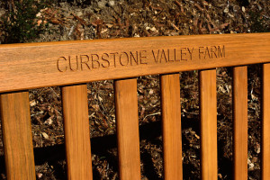 The bench was engraved with the Farm's name